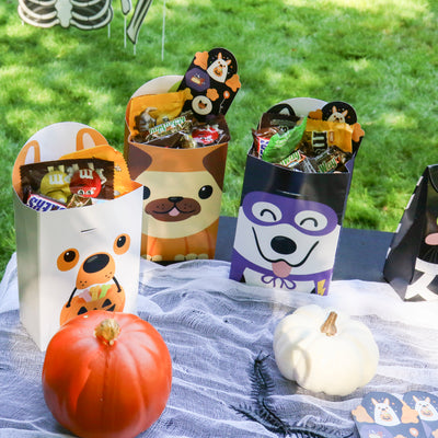 Halloween Pets - Assorted Cats and Dogs Gift Favor Classroom Treat Bags - Birthday Party Goodie Boxes - Set of 12