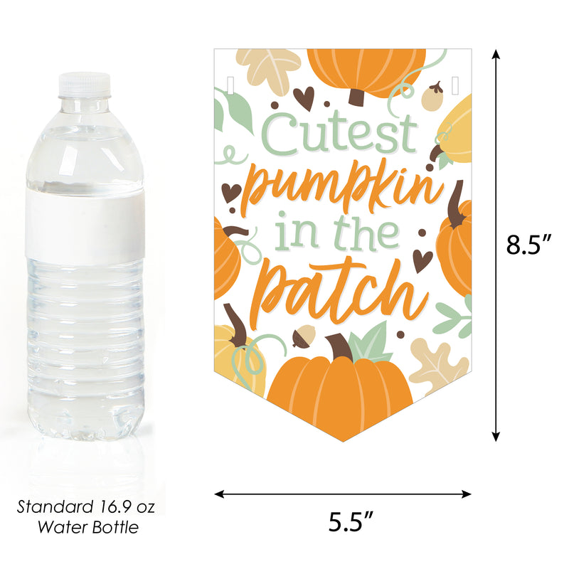 Little Pumpkin - Fall Birthday Party or Baby Shower Bunting Banner - Party Decorations - Little Pumpkin