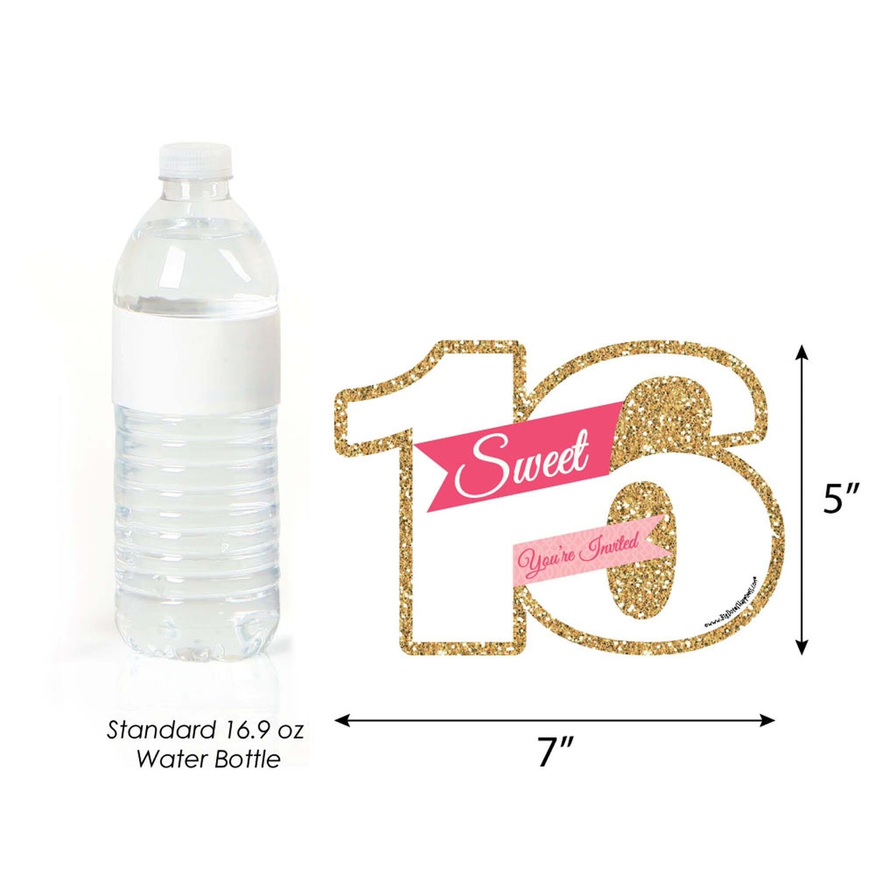 Paris Water Bottle Wrappers for Sweet 16, Bridal Shower, Birthday  30th-40th-50th-60th set of 12 