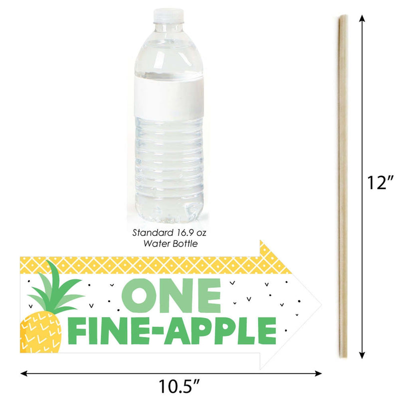 Funny Tropical Pineapple - 10 Piece Summer Party Photo Booth Props Kit